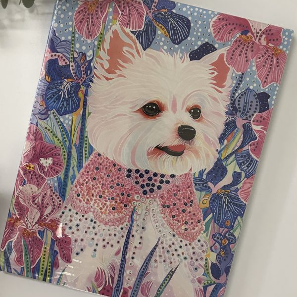 نقاشی الماسی بوم طرح حیوانات